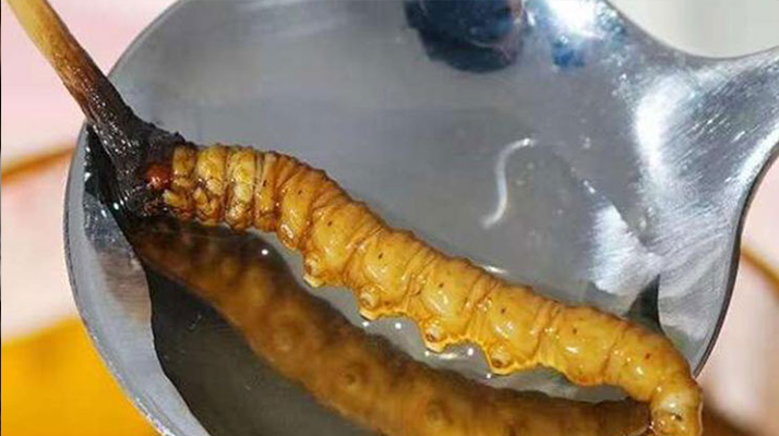 巨野網(wǎng)絡(luò)公司