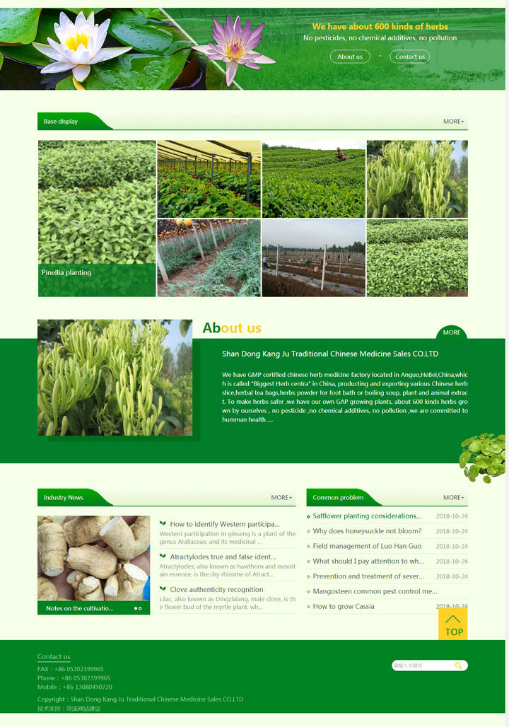 Shan Dong Kang Ju Traditional Chinese Medicine Sal.jpg Shan Dong Kang Ju Traditional Chinese Medicine Sal.jpg