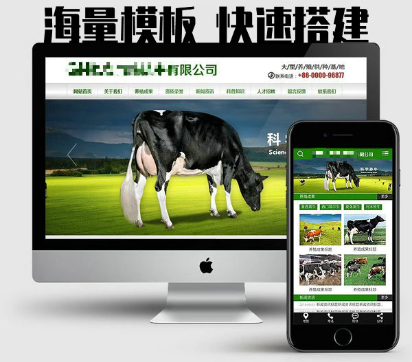 東明網站建設制作每年怎么收費